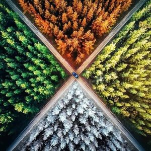 Meet your Posher, Autumn